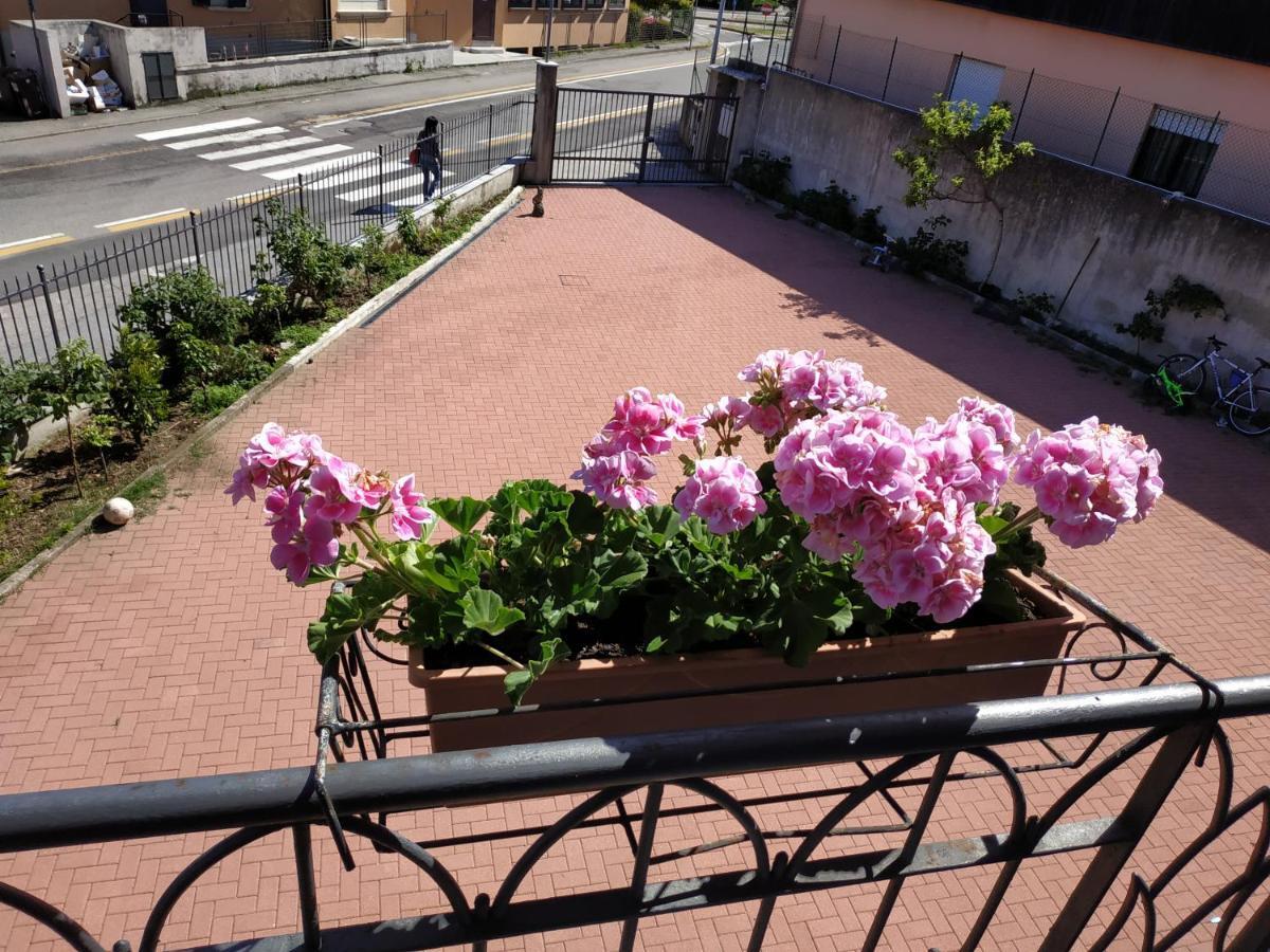 Casa Marina Apartment Verbania Bagian luar foto